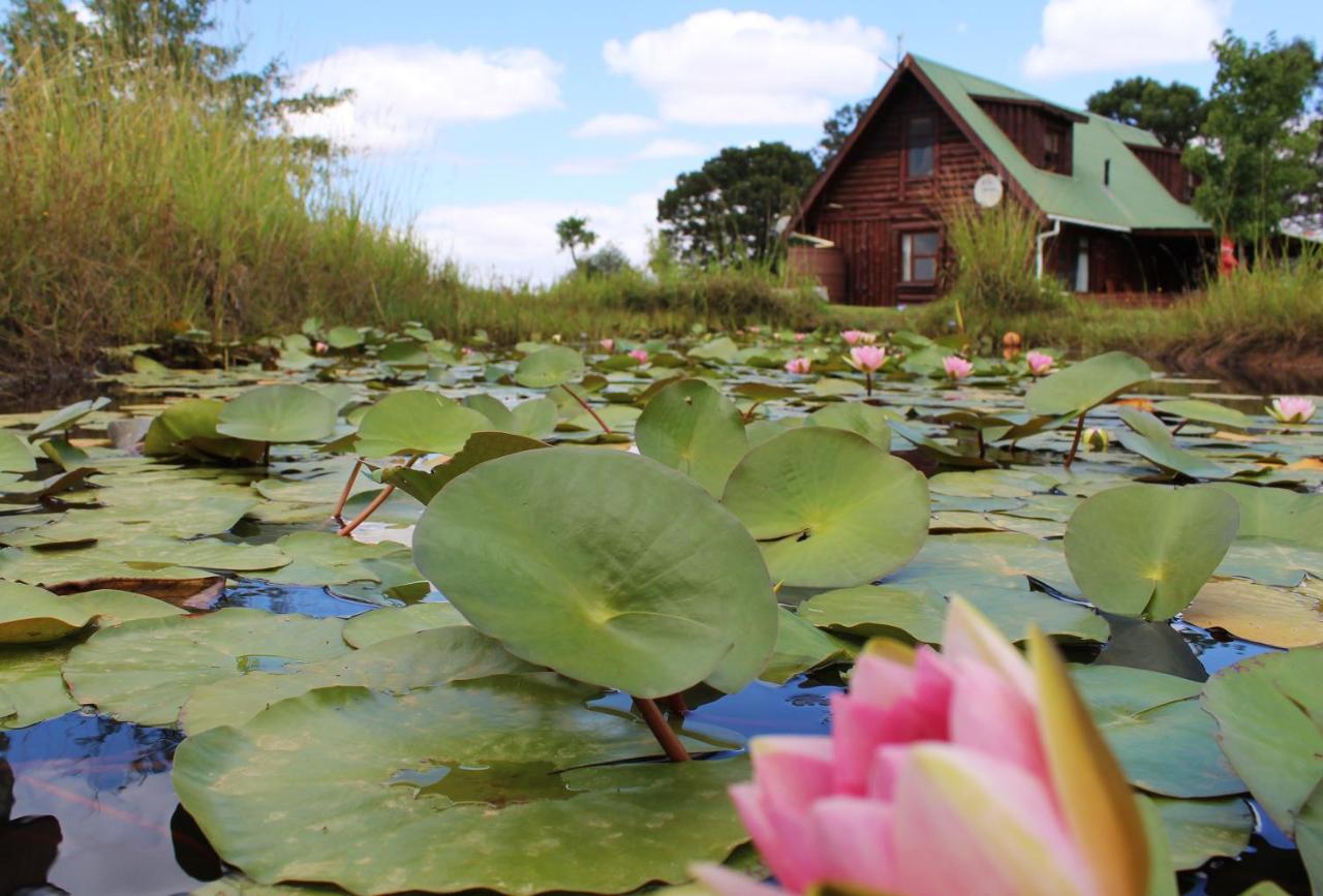 A Log Home At Buffalo Creek Buffeljagsrivier Exteriör bild